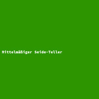 Mittelmäßiger Seide-Teller