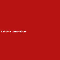 Leichte Samt-Mütze