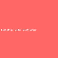 Lebhafter Leder-Ventilator