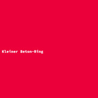 Kleiner Beton-Ring